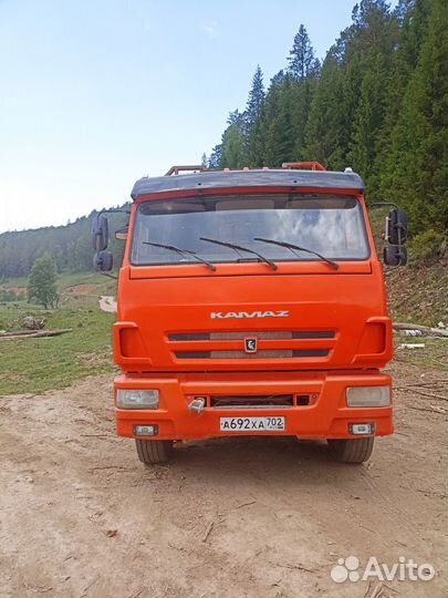 КамАЗ 65115 с КМУ, 2021