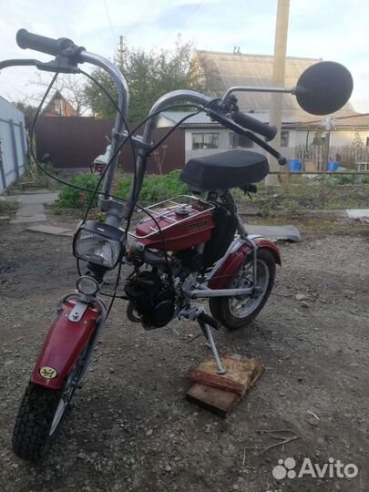 Продам зид-Птаха