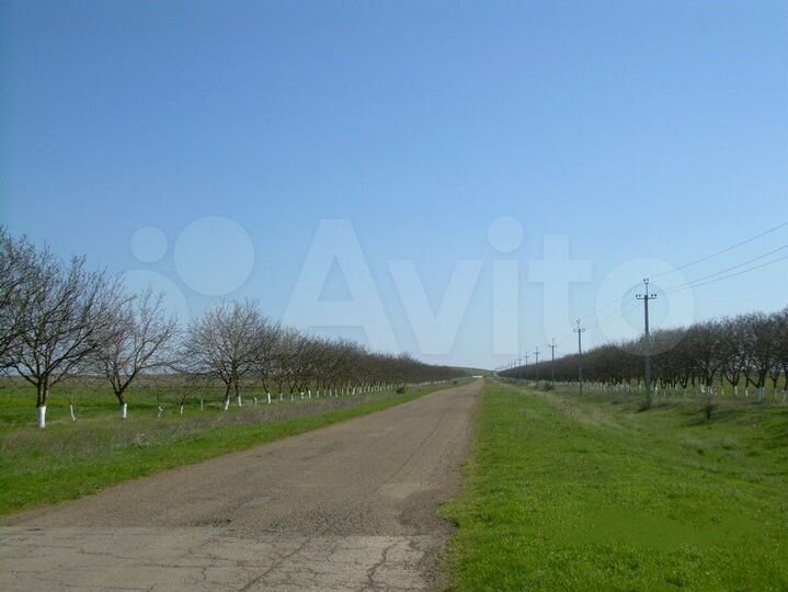 Участок 2,5 га (ИЖС)