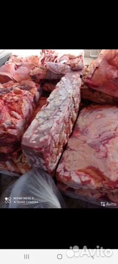 Мясо говядина для собак