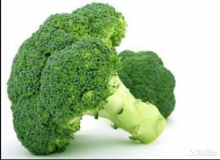 Брокколи свежие