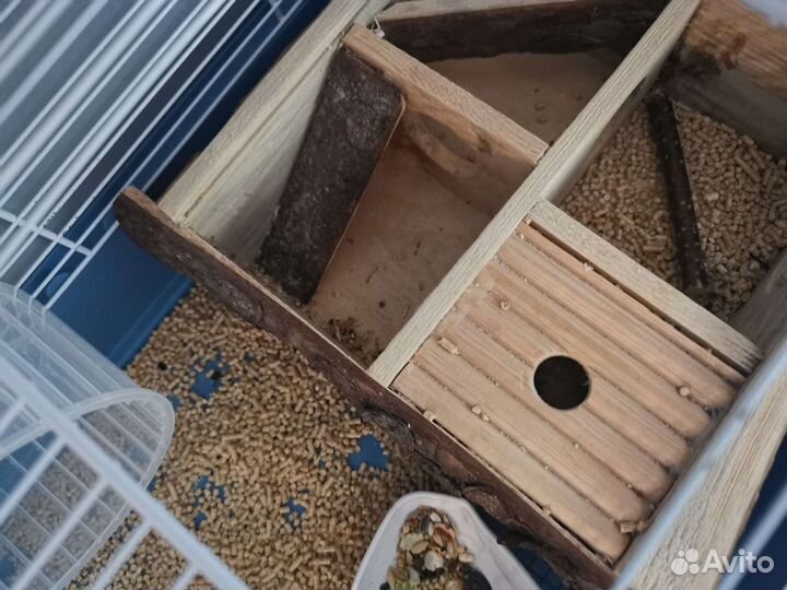 Клетка для хомяка, сирийский хомяк