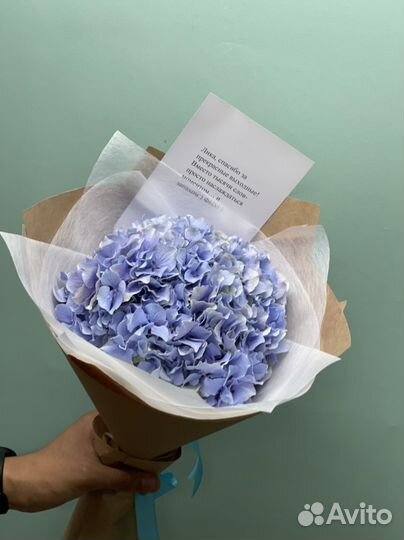 Цветы для школьник