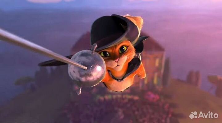 Котик в добрые руки