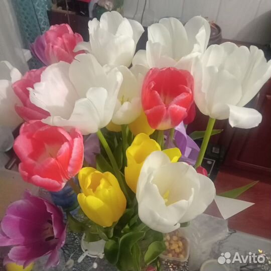 Тюльпаны опт/ розница