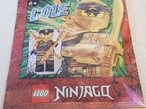 Lego Ninjago Cole (892295) - Минифигурка