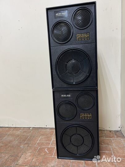 Колонки электроника 25ас-309