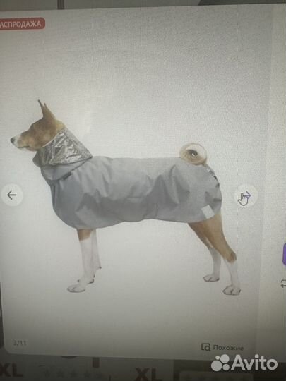 Дождевики для собак средних и крупных пород