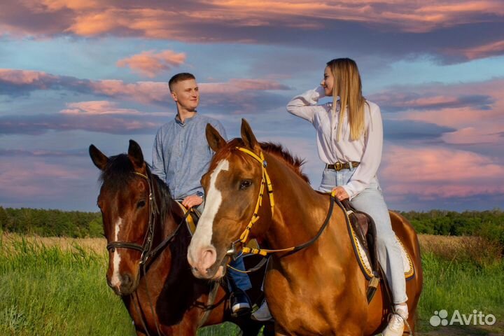 Конные прогулки