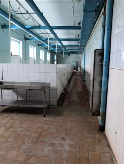 Свободного назначения, 2000 м²