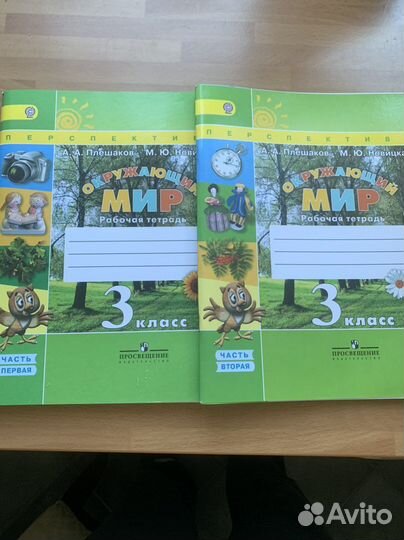 Окружающий мир 3 класс рабочая тетрадь плешаков