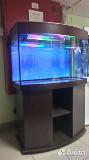 Аквариум 200 свет биофильтр фон подставка