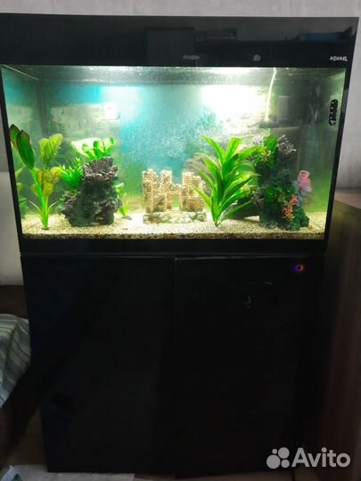 Аквариум Aquael Glossy 80 (125 литров) с тумбой