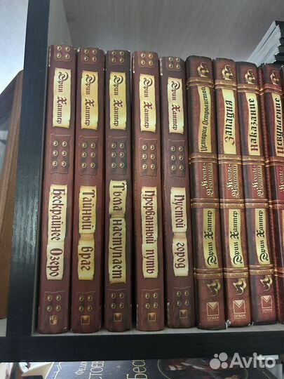 Коты воители, Хроники стаи: книги и манга