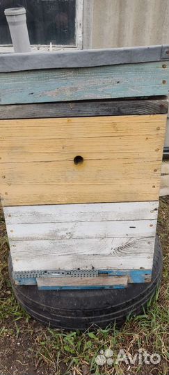 Улей для пчел