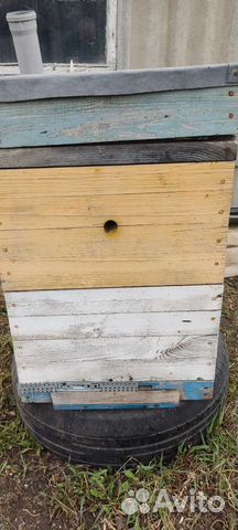 Улей для пчел