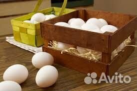 Укладчик\ца вахта\Бесплатный автобус