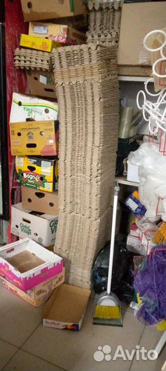 Ячейки для яиц