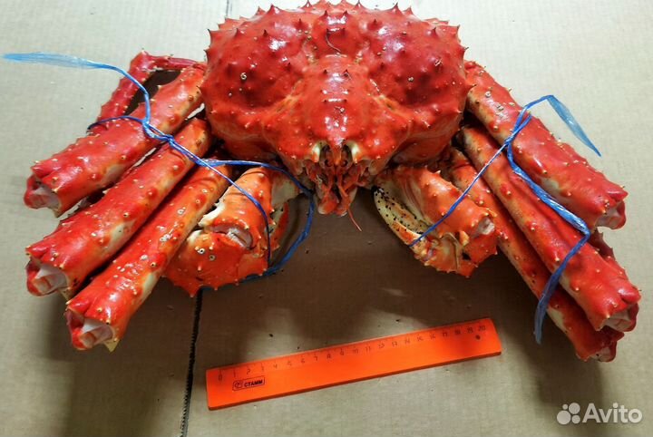 Краб Камчатский подарочный, целый