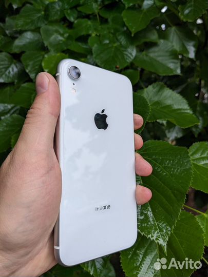 iPhone Xr, 256 ГБ