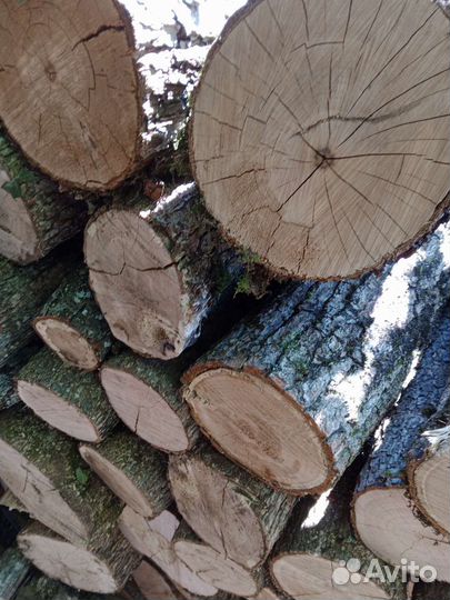 Продам дрова