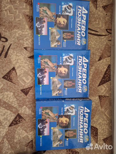 Древо познания