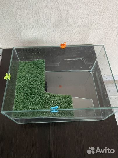 Аквариум для черепах