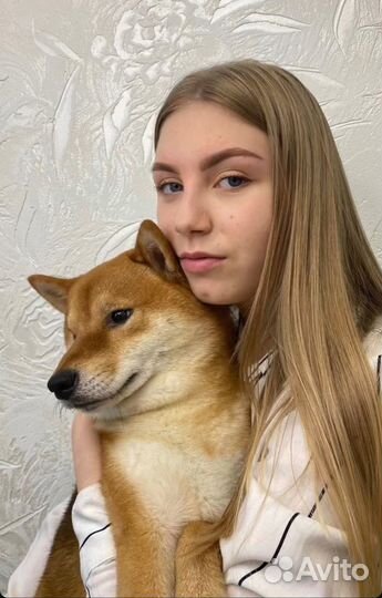 Мастер бровист