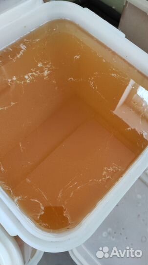 Мёд 2023 г натуральный алтайский опт