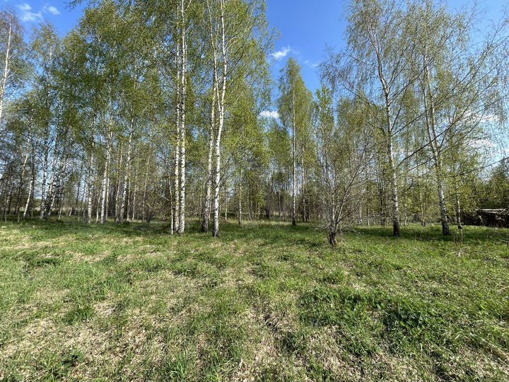 Участок 15 сот. (ИЖС)