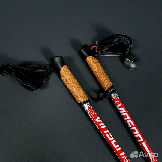 Палки для скандинавской ходьбы Vinson P300