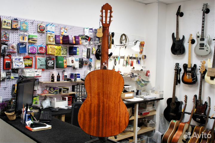 Классическая гитара Cort AC200-NAT, массив ели