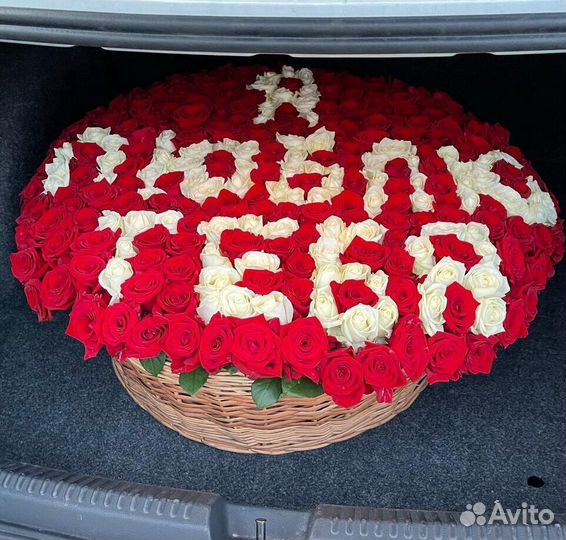 101 роза цветы