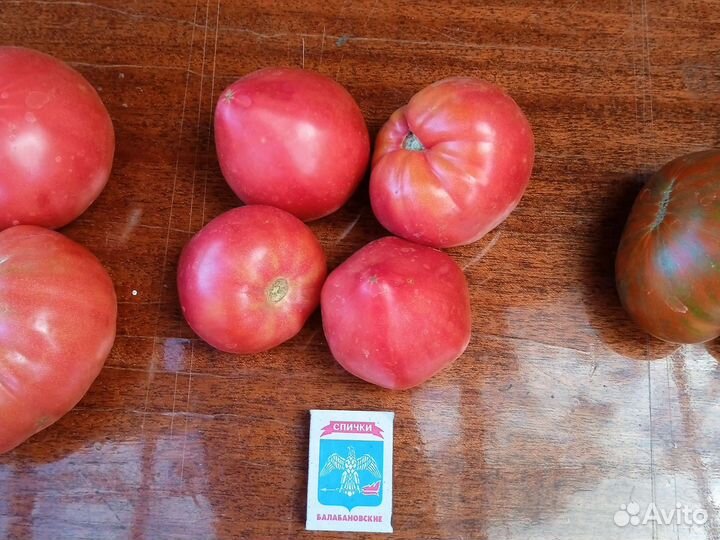 Семена помидоров томатов