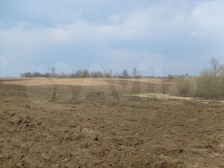 Участок 13 га (СНТ, ДНП)