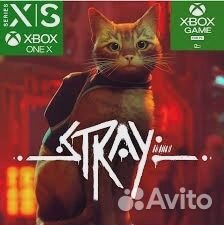 Stray xbox