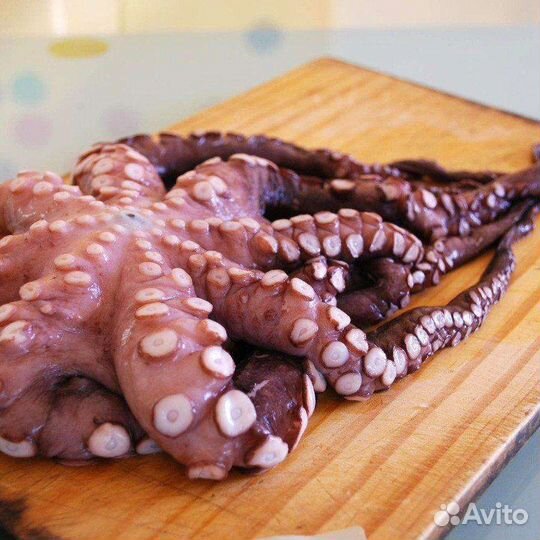 Осьминог Шар
