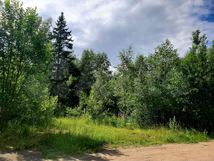 Участок 3,57 га (ИЖС)