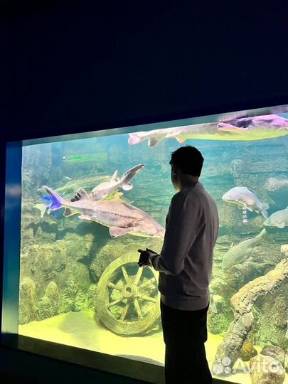 Билеты в москвариум