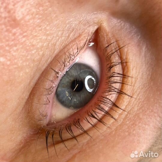 Брови лами бровей И ресниц