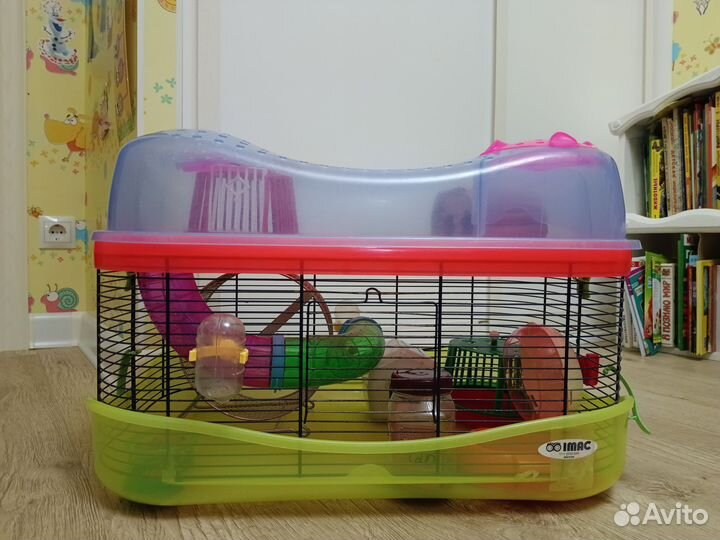 Клетка для хомяка со всем необходимым