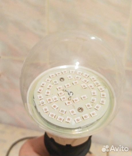 Фитолампа для растений