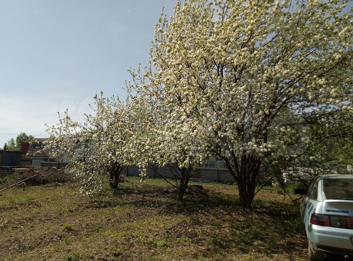 Участок 5,9 сот. (СНТ, ДНП)