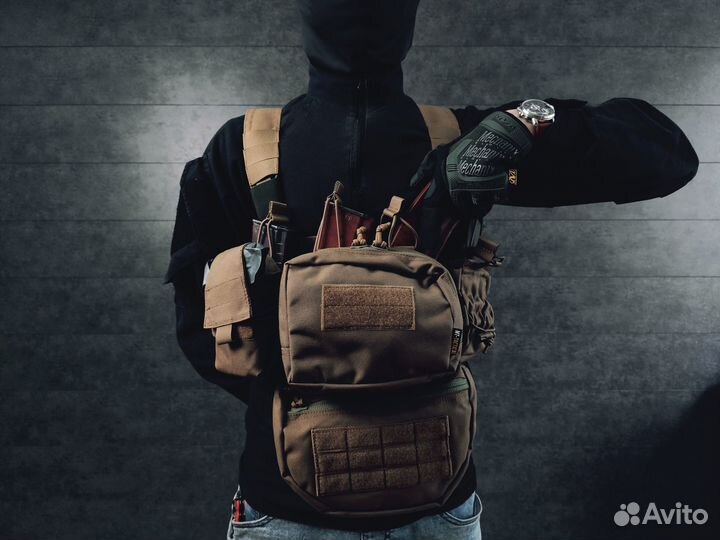 Разгрузка Agama atra (coyote, койот)