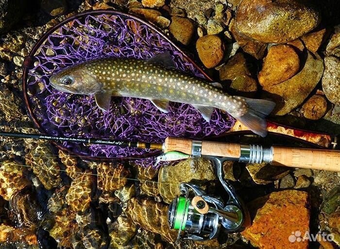 Daiwa 24 Silver Creek Trad 53UL