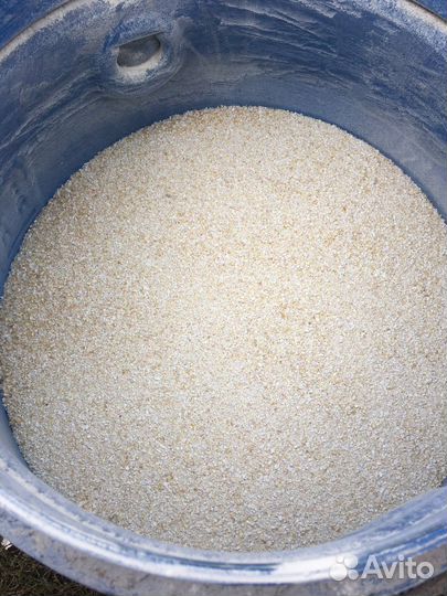 Яичная скорлупа