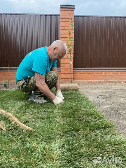 Рулонный газон с укладкой