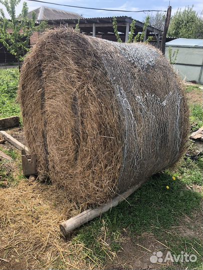 Сено люцерны в рулонах