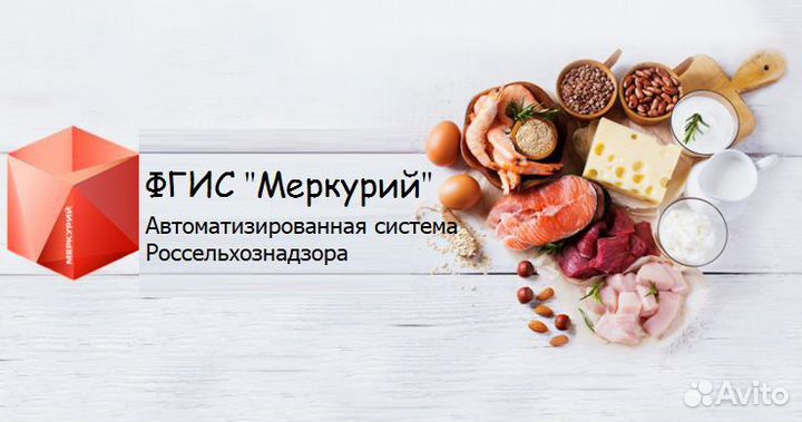 Фгис Меркурий услуги