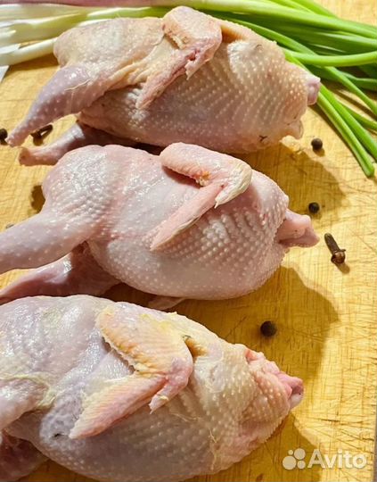 Мясо перепела (оптом и в розницу)